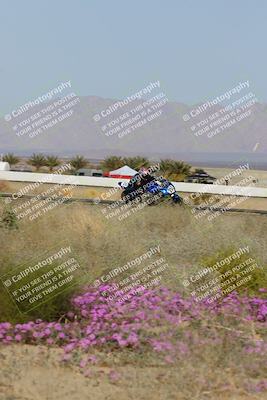 media/Feb-04-2023-SoCal Trackdays (Sat) [[8a776bf2c3]]/Turn 15 Inside Blooming (1050am)/